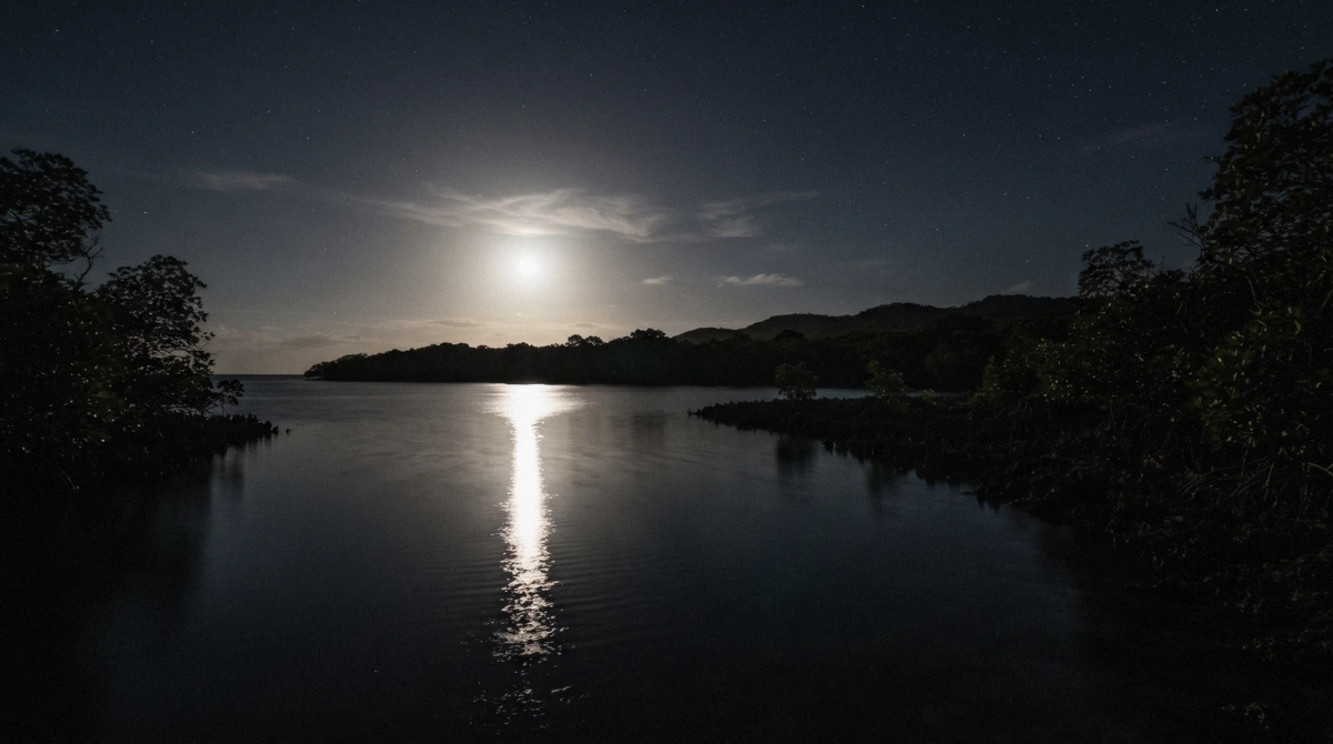 Full moon rising over the water and dock at La Parguera, Lajas, Puerto Rico