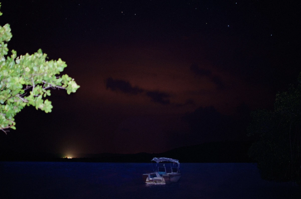 Blue bioluminescent water in Mosquito Bay on Vieques, Puerto Rico