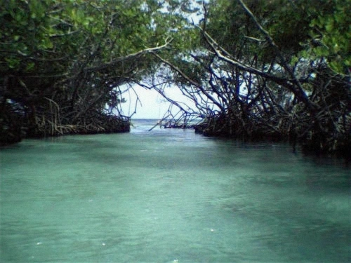 Shallow turquoise water and white sand at Cayo Caracoles near La Parguera, Lajas, Puerto Rico